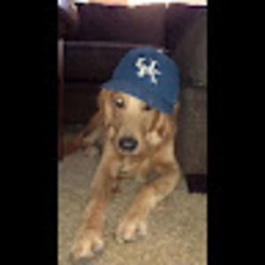 Meet your Posher, Amol